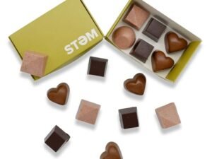 STEM 1/2 Gram Mushroom Chocolates (6 pack)