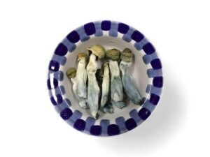 Blue Goba